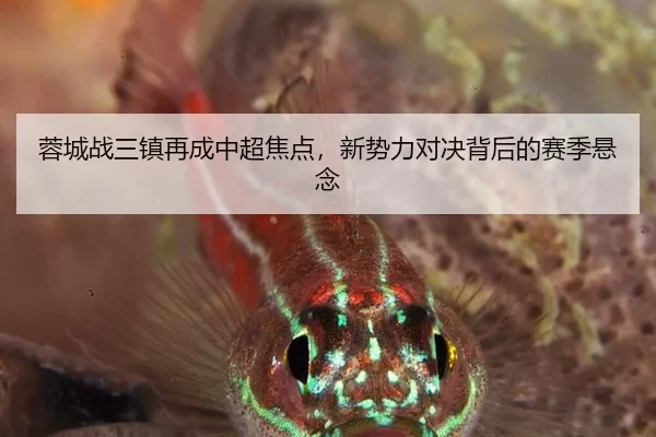 蓉城战三镇再成中超焦点，新势力对决背后的赛季悬念