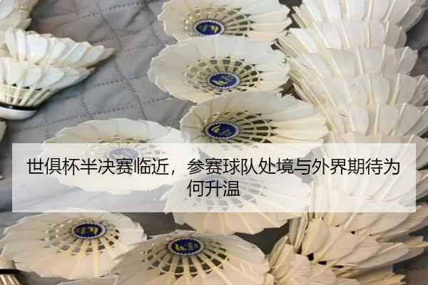 shi-ju-bei-ban-jue-sai-lin-jin-can-sai-qiu-dui-chu-jing-yu-wai-jie-qi-dai-wei-he-sheng-wen-2-408.jpg